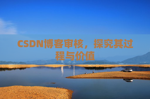 CSDN博客审核，探究其过程与价值